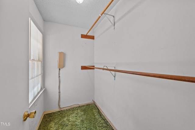 walk in closet featuring carpet flooring