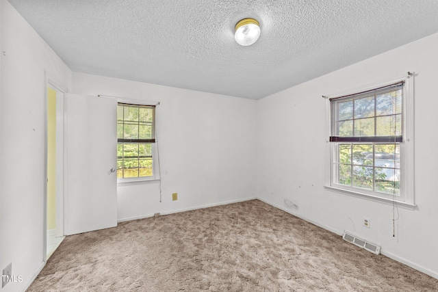 carpeted spare room featuring plenty of natural light and a textured ceiling