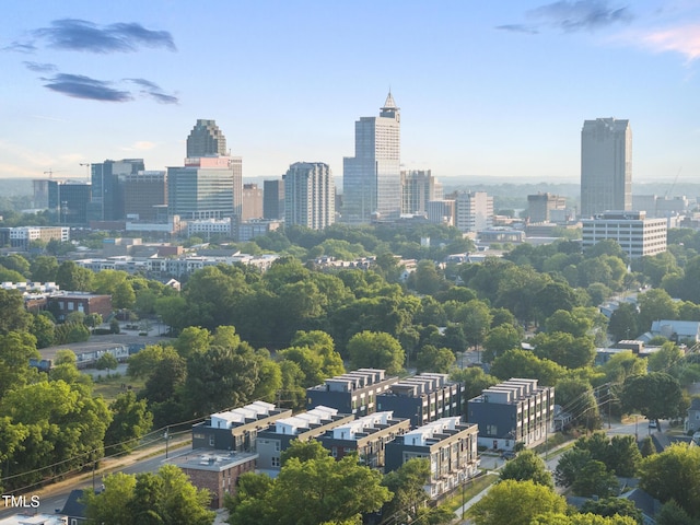 property's view of city