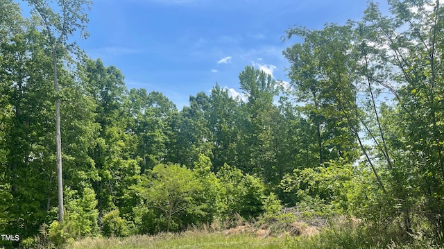 Listing photo 3 for LOT6 Hunters Cir, Rougemont NC 27572