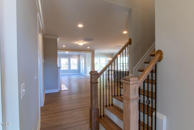 staircase with wood-type flooring