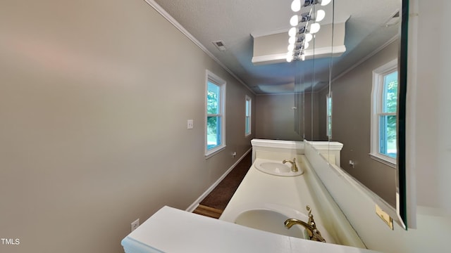 bathroom with a healthy amount of sunlight, dual bowl vanity, and crown molding