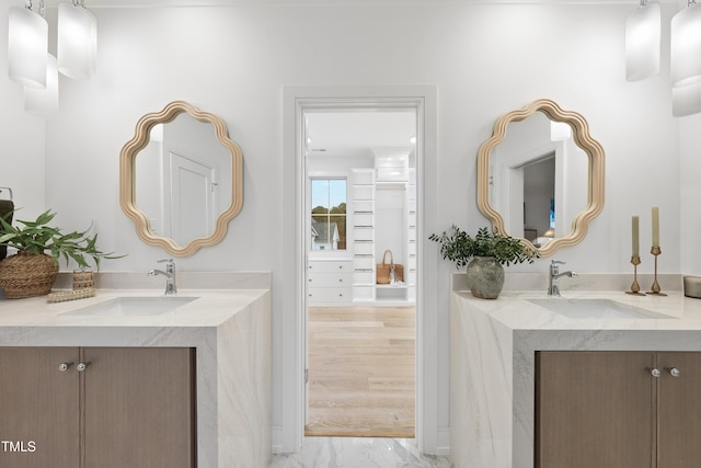 bathroom with hardwood / wood-style flooring and vanity