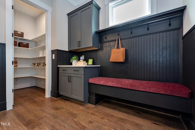 mudroom featuring dark hardwood / wood-style floors