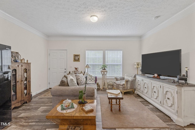 living room with crown molding, dark wood-type flooring, and a textured ceiling