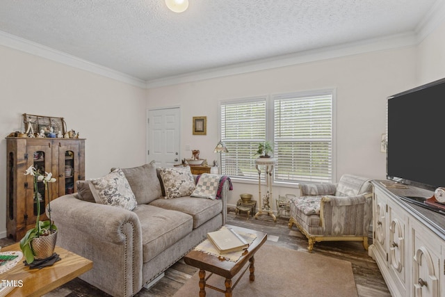 living room featuring crown molding, a textured ceiling, and hardwood / wood-style floors