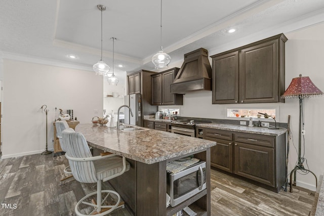 kitchen featuring sink, stainless steel appliances, custom range hood, and dark hardwood / wood-style floors