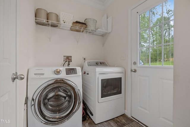 clothes washing area with independent washer and dryer, dark wood-type flooring, and washer hookup