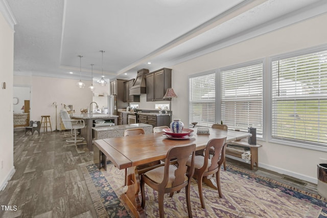 dining room featuring dark wood-type flooring and a tray ceiling