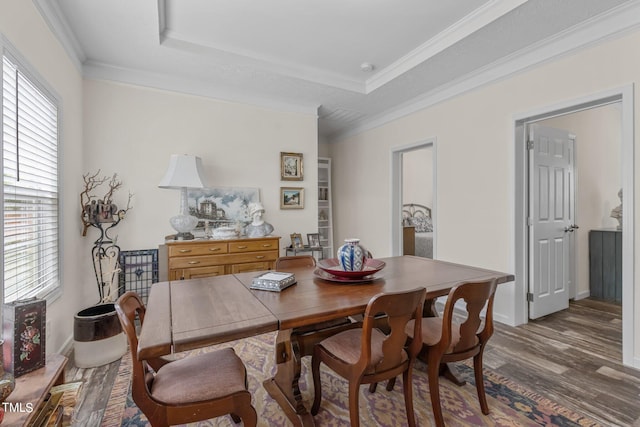 dining room featuring plenty of natural light, dark hardwood / wood-style flooring, crown molding, and a tray ceiling