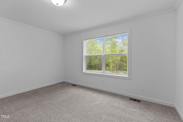 empty room featuring plenty of natural light, crown molding, and carpet floors