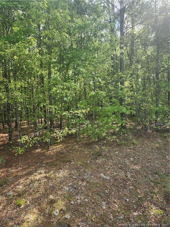 Culberth Rd, Lumber Bridge NC, 28357 land for sale