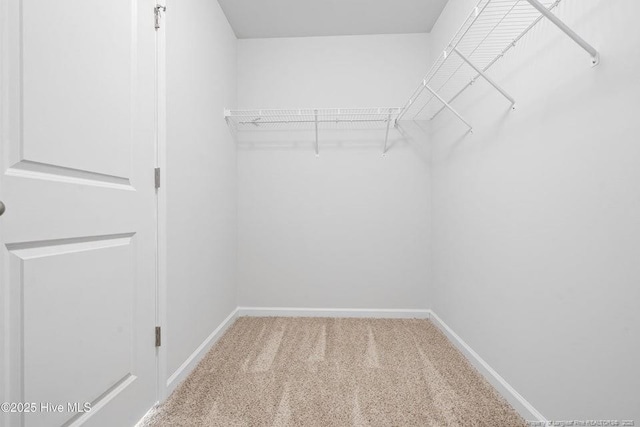 spacious closet with carpet flooring