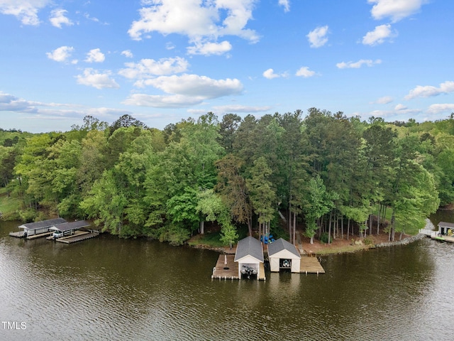 dock area featuring a water view