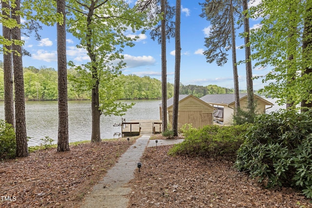 dock area with a water view