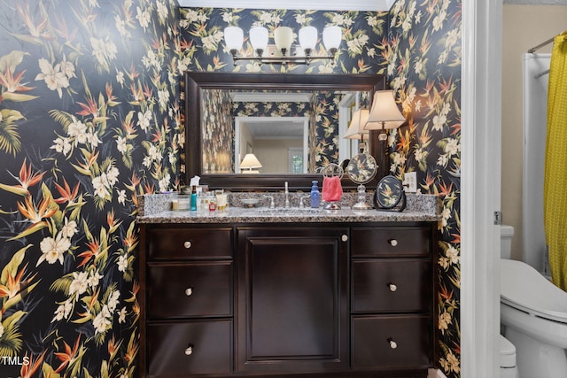 bathroom with toilet and vanity