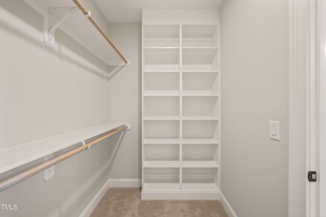 walk in closet featuring light carpet