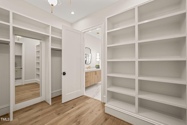 spacious closet featuring wood-type flooring and sink