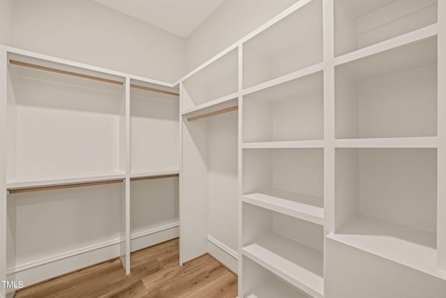 spacious closet with hardwood / wood-style flooring