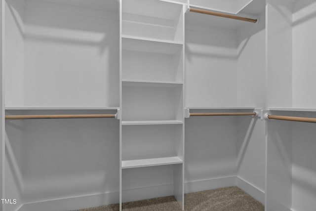 walk in closet featuring carpet