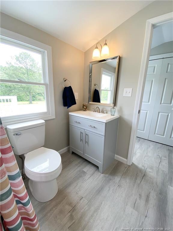 bathroom with vaulted ceiling, vanity, hardwood / wood-style flooring, and toilet