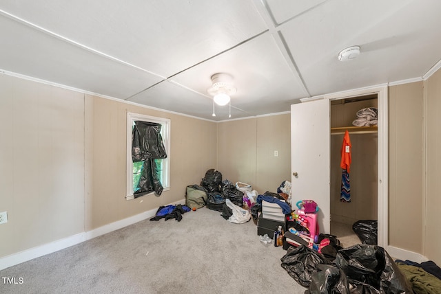 workout area featuring carpet flooring