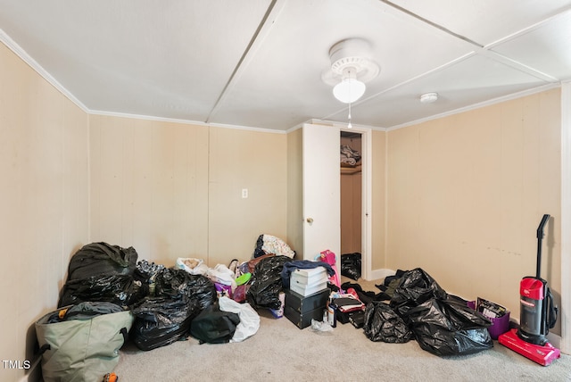 miscellaneous room with carpet