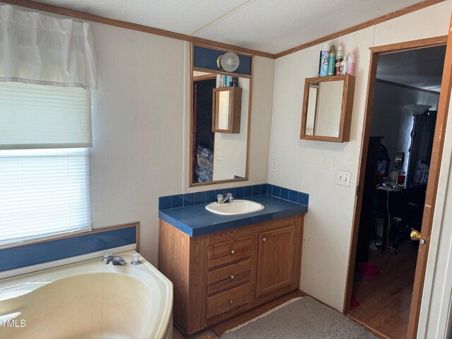 bathroom with oversized vanity and a washtub