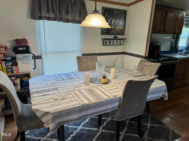 dining area featuring sink and dark wood-type flooring