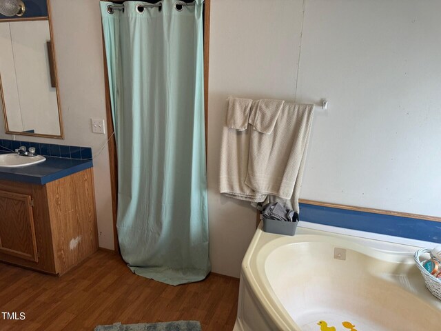 bathroom featuring vanity with extensive cabinet space and hardwood / wood-style flooring