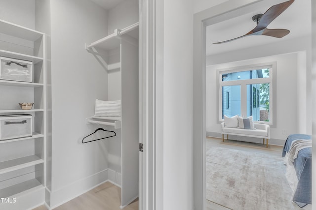 spacious closet featuring ceiling fan and wood finished floors