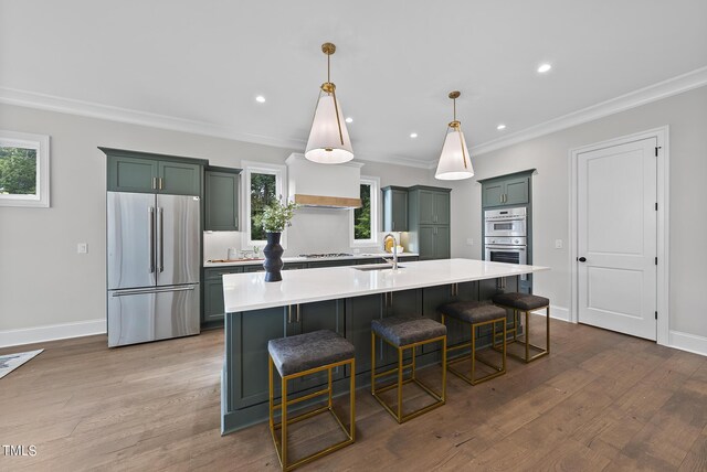 kitchen with appliances with stainless steel finishes, premium range hood, pendant lighting, and a healthy amount of sunlight