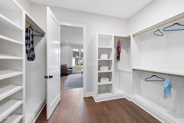 spacious closet featuring dark wood-type flooring