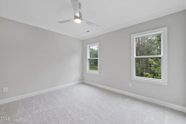 carpeted empty room featuring ceiling fan, ornamental molding, and a wealth of natural light