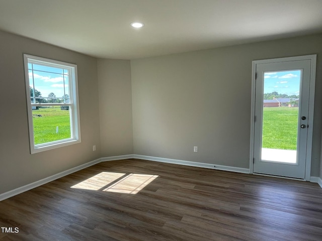 spare room featuring dark wood-type flooring and plenty of natural light