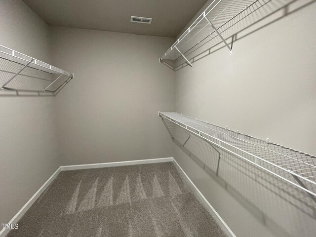 spacious closet with carpet floors