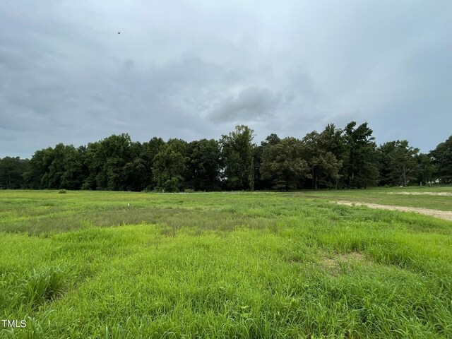 view of nature featuring a rural view