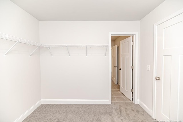 spacious closet with light colored carpet