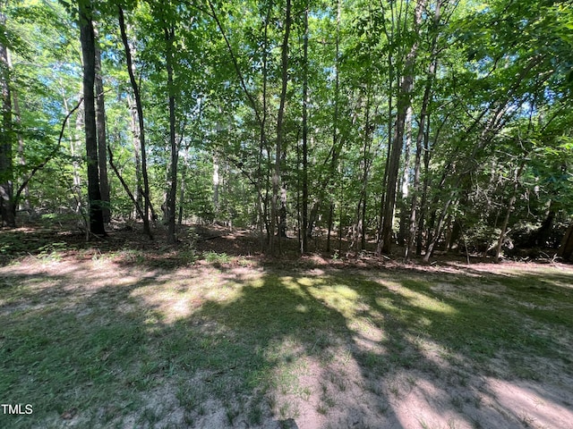 LOT61 Palomino Rd, Carthage NC, 28327 land for sale