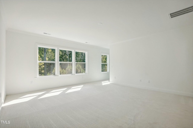 carpeted empty room featuring ornamental molding