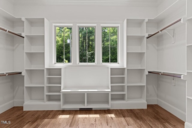 spacious closet featuring hardwood / wood-style flooring