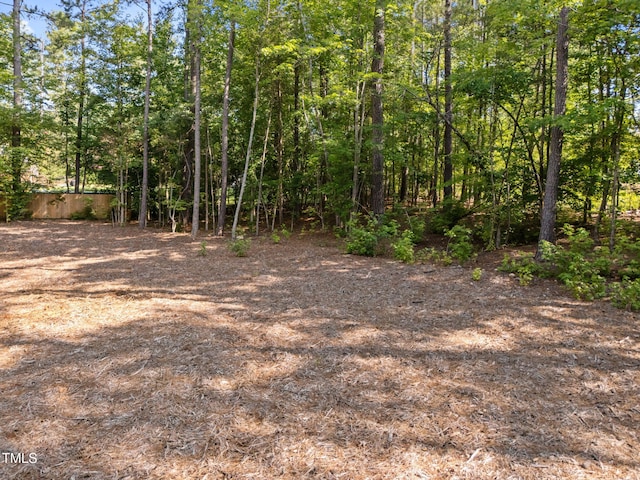 3691 Graham Sherron Rd, Wake Forest, NC 27587 - photo 46