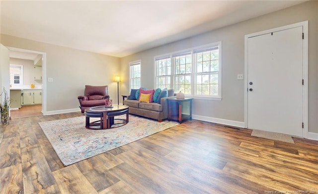 living room featuring wood-type flooring