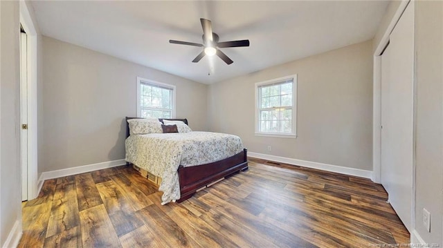 bedroom featuring ceiling fan, dark hardwood / wood-style floors, and multiple windows