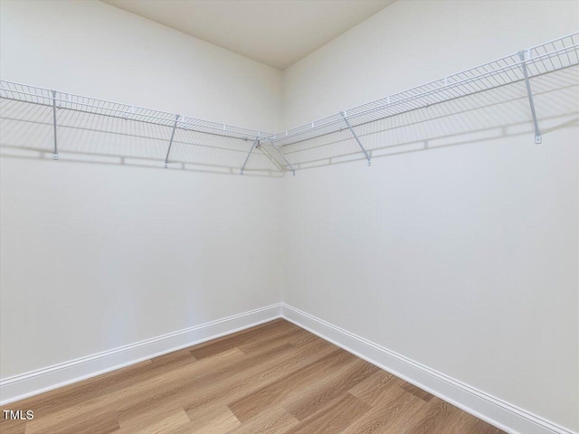 spacious closet with light wood finished floors