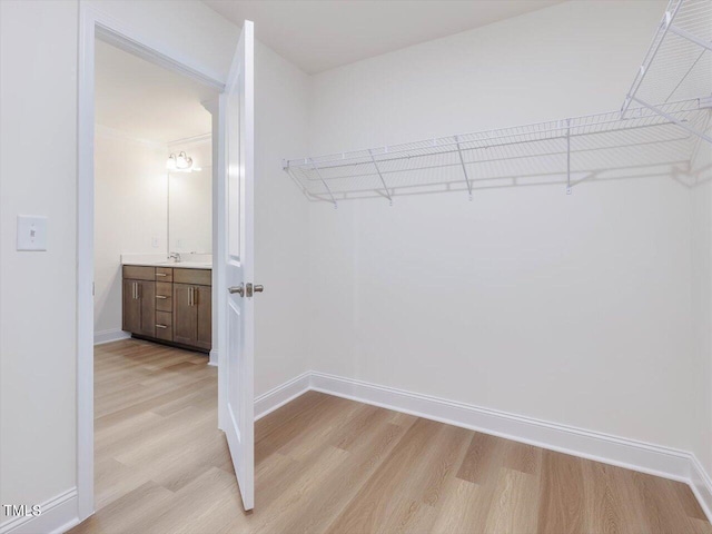 spacious closet featuring a sink and light wood finished floors