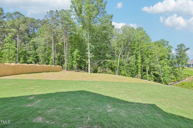 401 Winding Creek Dr, Lillington, NC 27546 - photo 13