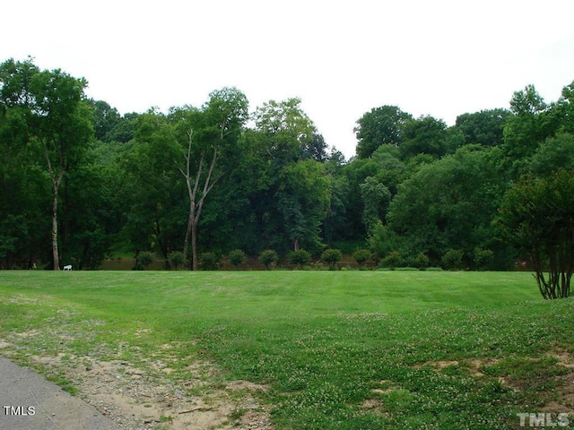 view of local wilderness