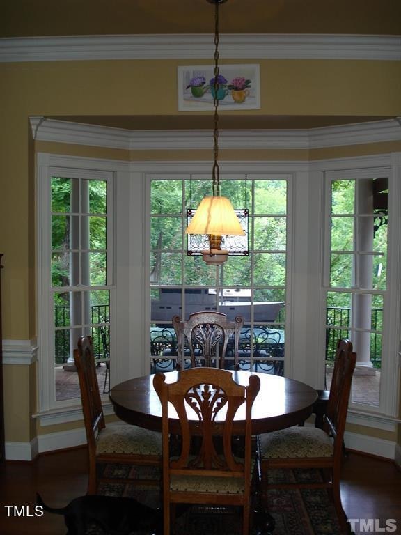 dining space featuring ornamental molding, a healthy amount of sunlight, and hardwood / wood-style floors