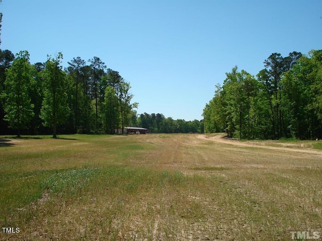 view of local wilderness